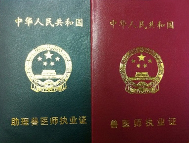 執(zhí)業(yè)獸醫(yī)將成為畜牧行業(yè)職場新貴