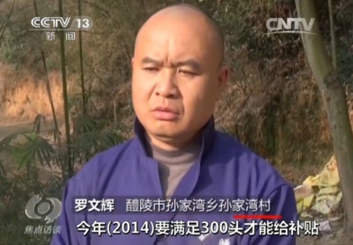 央視再曝補貼黑幕：咱養(yǎng)豬人拿補貼咋那么難？