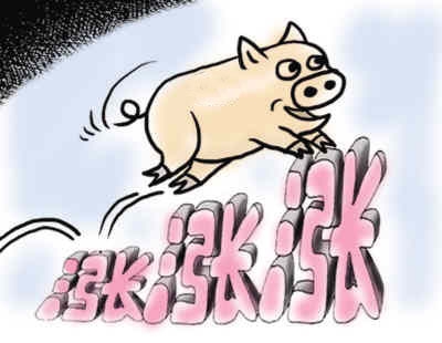 2015豬價(jià)無(wú)憂 再漲300元？有可能