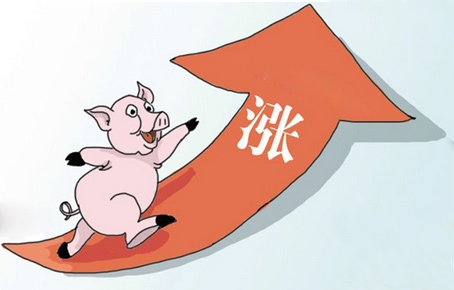 豬價淡季逆市上揚　豬價牛市延續(xù)