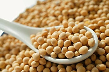 大豆進(jìn)口很“受傷” 每船增300萬元成本