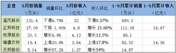 5月生豬銷售，誰是冠軍？溫氏、牧原、雛鷹農(nóng)牧、正邦、天邦......