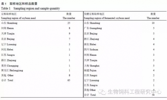 豆1.webp.jpg