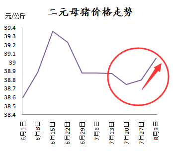 二元母豬仍在漲，這是后期仍要看好的節(jié)奏？