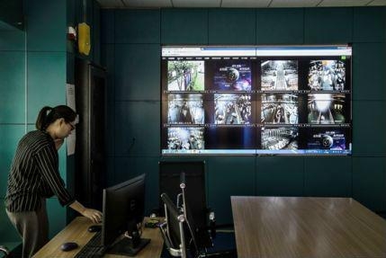 美媒：中國新型養(yǎng)豬場不用抗生素，豬肉價格貴兩倍