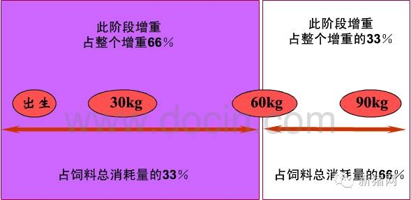 王1.jpg