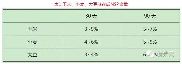 王2.jpg