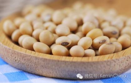 豆油與棕櫚油、牛油、白脂膏和其它脂肪的對(duì)比
