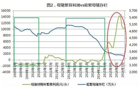 母豬存欄：禁養(yǎng)政策和新建項目的跑步競賽