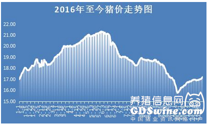 12月第一天豬價突破8.5！