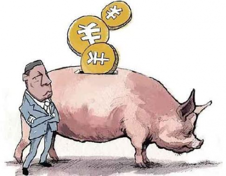 都是養(yǎng)豬，別人賺錢(qián)你虧本，多半因?yàn)槟阕鲥e(cuò)了四件事