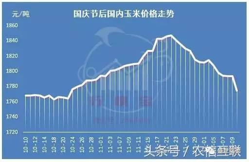 玉米1.jpg