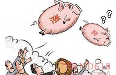 年前豬價(jià)到底是跌還是漲？到底誰說了算