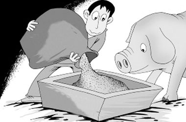 畜牧業(yè)以后工作的方向以及17年政策支持的重點(diǎn)