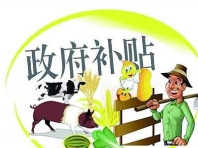 政府補(bǔ)貼.jpg