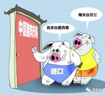 2016年進口豬肉數(shù)量同比增長108.4%！！進口豬肉均價6.5元/斤低于國內(nèi)生豬價