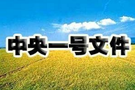 “一號文件”解讀，這6個和養(yǎng)豬人息息相關的點一定要知道