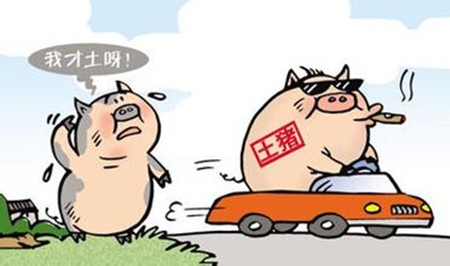 農村散養(yǎng)戶還沒意識到的危險：養(yǎng)豬人還不進來看看？