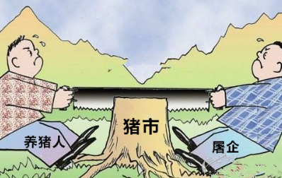 養(yǎng)殖戶挺價(jià)意愿減弱，屠企占得上風(fēng)，豬價(jià)再次緩慢下行