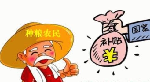 17年，怎么才能拿到玉米補(bǔ)貼？必看！