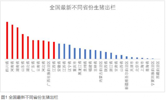 全國最新養(yǎng)豬排行榜！你的家鄉(xiāng)排第幾？