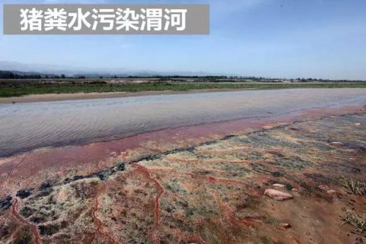 “十三五”規(guī)劃惠民政策來了！養(yǎng)殖戶可領(lǐng)補(bǔ)貼!