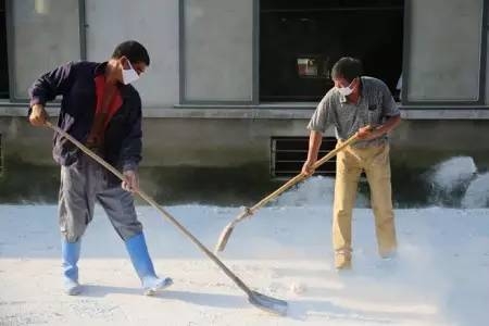 生石灰灑在豬舍過道里？大錯(cuò)特錯(cuò)！