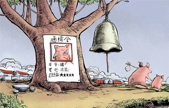 豬通緝令.jpg