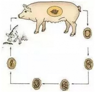 1489021277772622.jpg