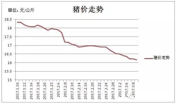 仔豬生豬價(jià)格差價(jià)大，你還敢養(yǎng)豬嗎?