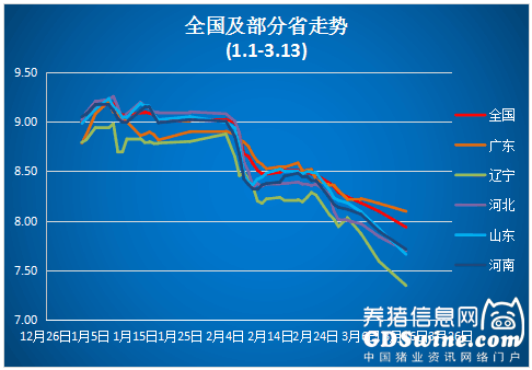 豬價跌破8元 3月還有上漲機會嗎？