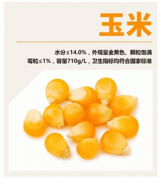 養(yǎng)殖過程中必須掌握的重要事項