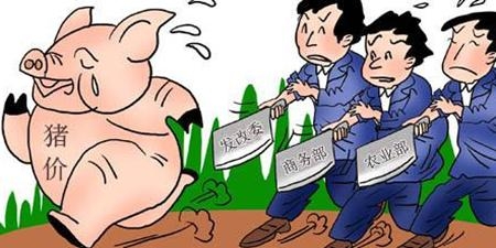 豬價(jià)連跌全線(xiàn)破8，中央啟動(dòng)凍豬肉收儲(chǔ)來(lái)救豬市？