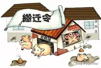 豬場(chǎng)拆遷和儲(chǔ)備凍肉會(huì)影響生豬價(jià)格？