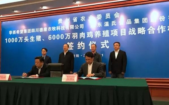華西希望集團(tuán)、溫氏集團(tuán)與貴州簽約1000萬(wàn)頭肉豬6000萬(wàn)羽肉雞養(yǎng)殖項(xiàng)目