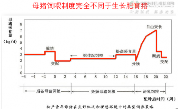 蔣3.png