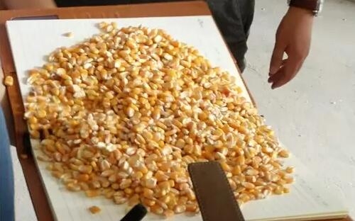 飼料企業(yè)安全生產(chǎn)管理工作綜述