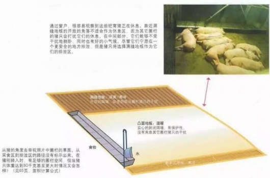 決定圈欄的布局的重點(diǎn)是飼料的位置？
