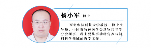 楊小軍.png