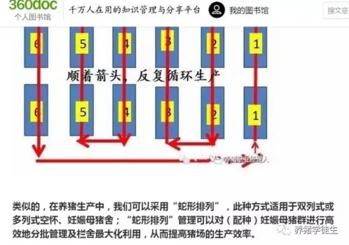 養(yǎng)豬技術(shù)吧：妊娠蛇形（1）