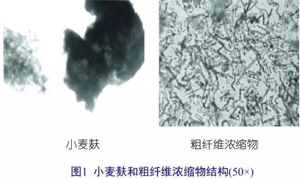 不可溶非發(fā)酵性纖維可促進腸道健康
