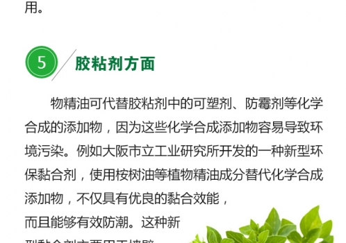 植物精油的生物學功能0719_11.jpg