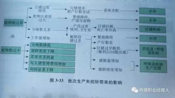 必修課 | 如何制定高效生產(chǎn)與健康管理的計劃？