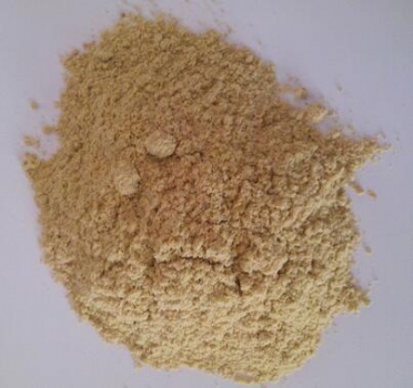 無論采食量高低，妊娠母豬對全脂米糠和脫脂米糠的能量消化率高于后備母豬