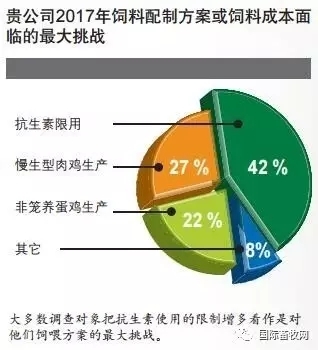2017全球營養(yǎng)與飼料大調(diào)查：無抗飼料已大勢所趨