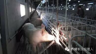 必修課 | 返情檢查時應考慮到的因素（值得收藏）