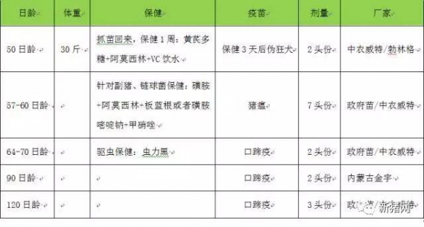 生長育肥豬的日常管理細節(jié)
