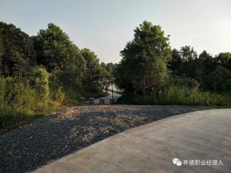 必修課 | 豬場隔離措施完善與否決定一個場的疾病是否多發(fā)（值得收藏）