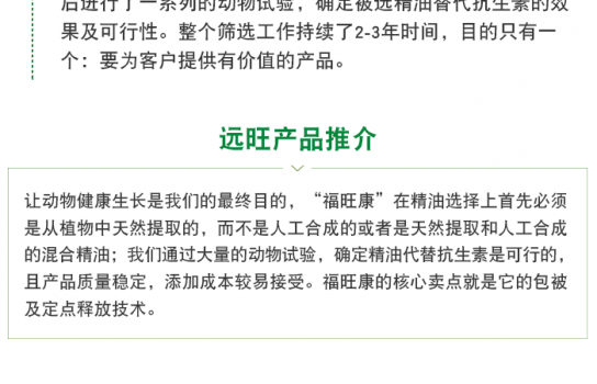 遠(yuǎn)旺微信文章_05.png