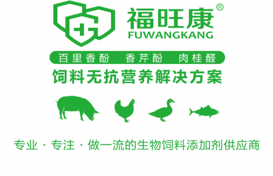 遠(yuǎn)旺微信文章_06.png